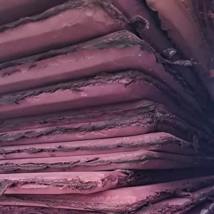 1693463008883.webp